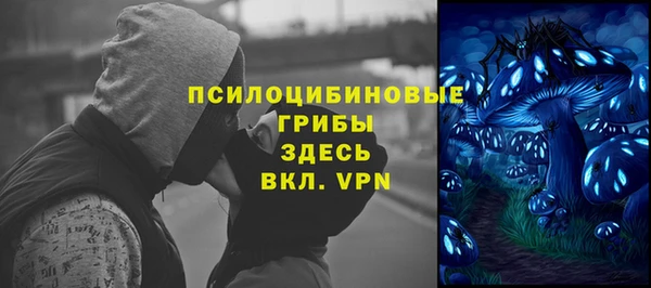 МДПВ Абинск
