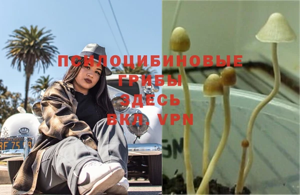 кокаин колумбия Абаза