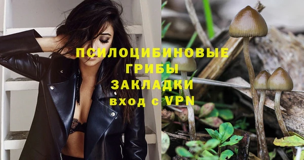 гидропоника Осинники