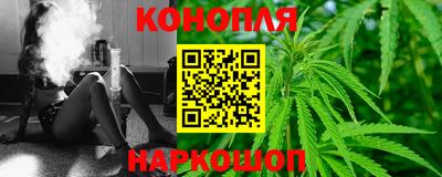 Альфа ПВП Краснознаменск