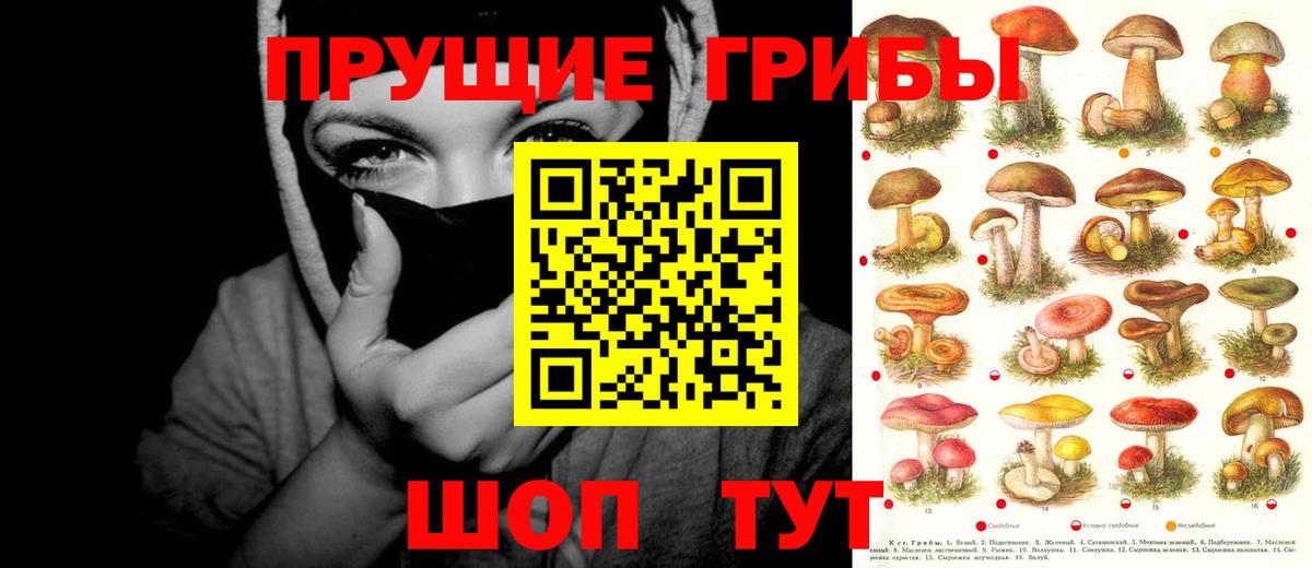 Галлюциногенные грибы мицелий  Вход с VPN  наркошоп  Камышлов 