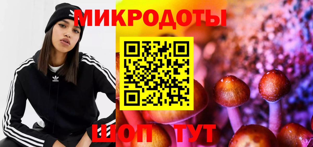 Галлюциногенные грибы мицелий Камышлов